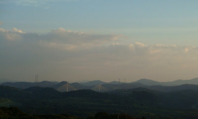 Canopy Tower view