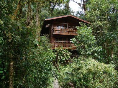 Los Quetzales Lodge, Cabin