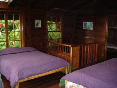 Los Quetzales Lodge, Cabin