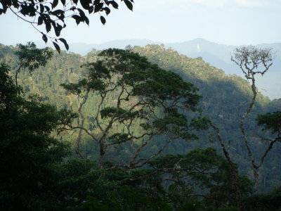 Cerro Pirre
