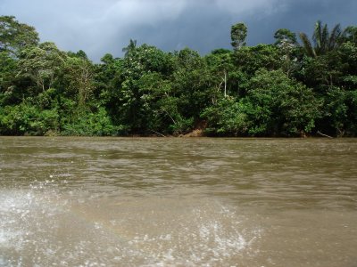 Napo River