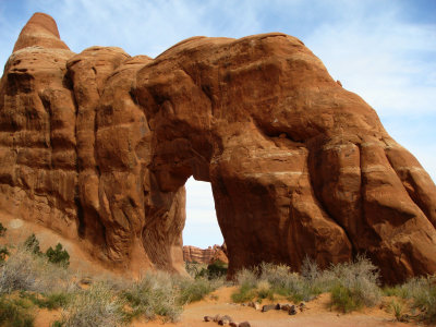  Pine Tree Arch