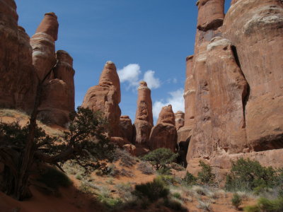 Fiery Furnace