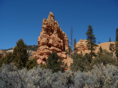  Red Canyon
