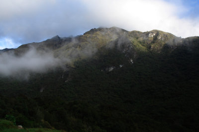 El Cajas NP Morning