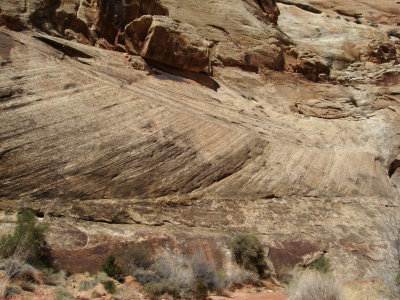 Bedding Planes of Navajo Sandstone