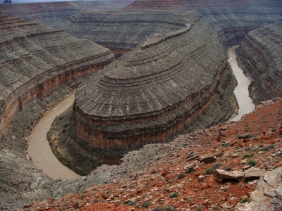 Goosenecks of the San Juan River