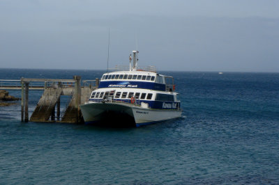 Tiri Tiri Ferry