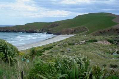Penguin Beach