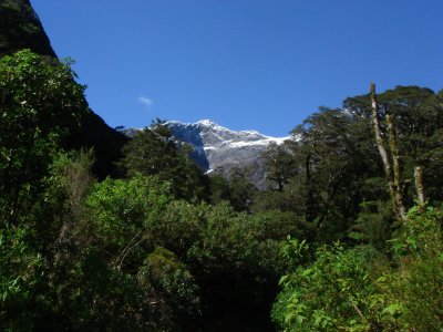 Milford Sound