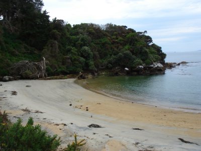 Acker's Point