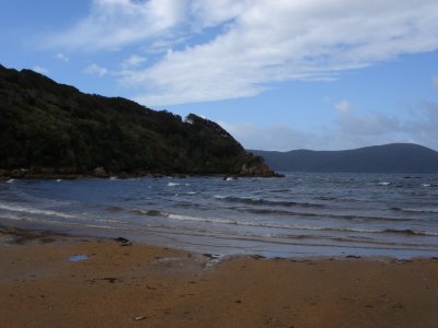 Ulva Island
