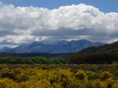 Waiau River