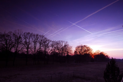 DSC_0245 edit.jpg