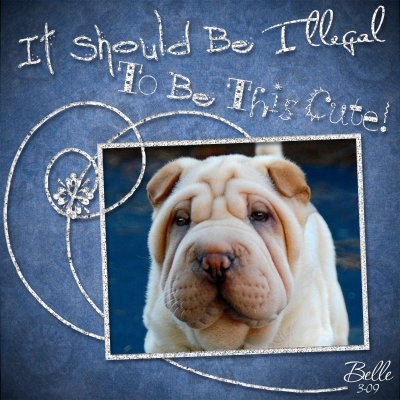 Belle