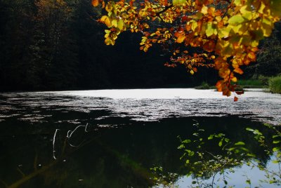 g1/05/892505/3/128842936.N1xtPLuL.jpg