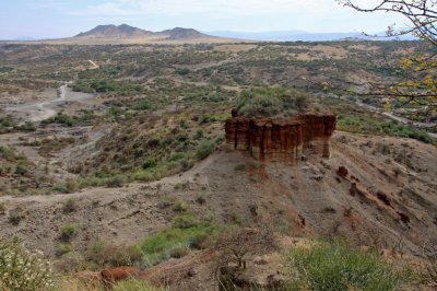 Part of the excavation area outside museum