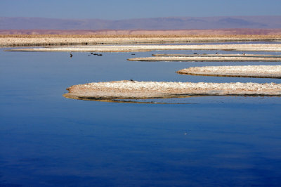 Chaxa Lagoon