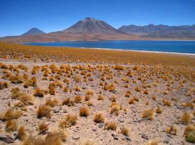 Miscanti Lagoon