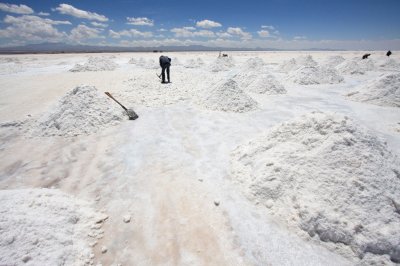 Worker Collecting Salt
