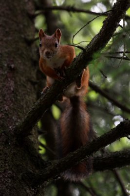 IMG_5423.JPG