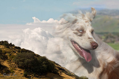 Rita in the clouds