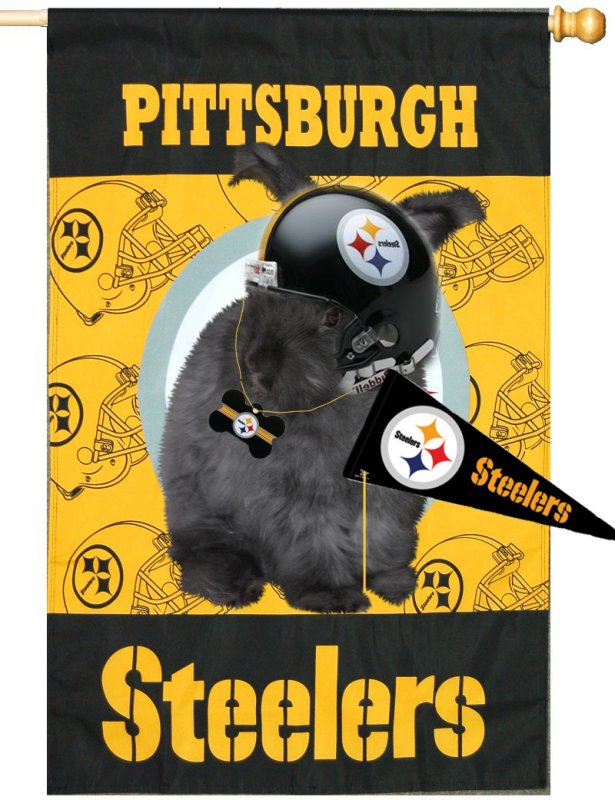 #1 Steelers Fan