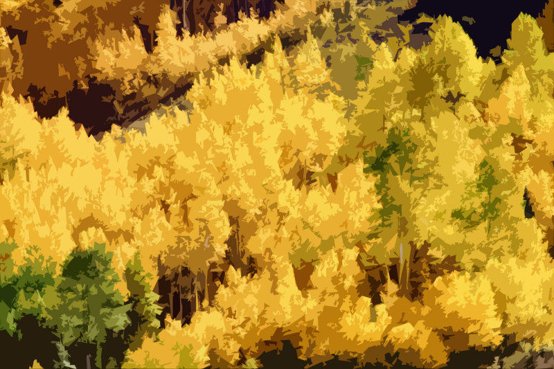 Groovy Aspens - Aspen, CO