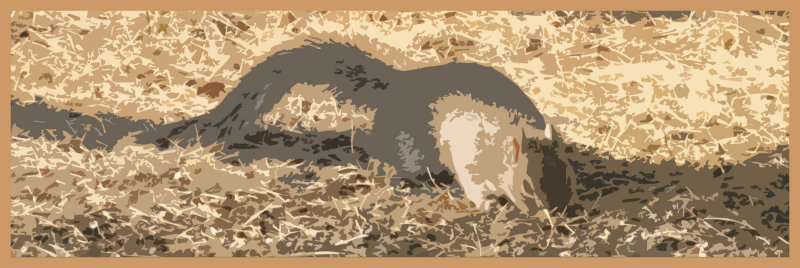Fresco squirrel