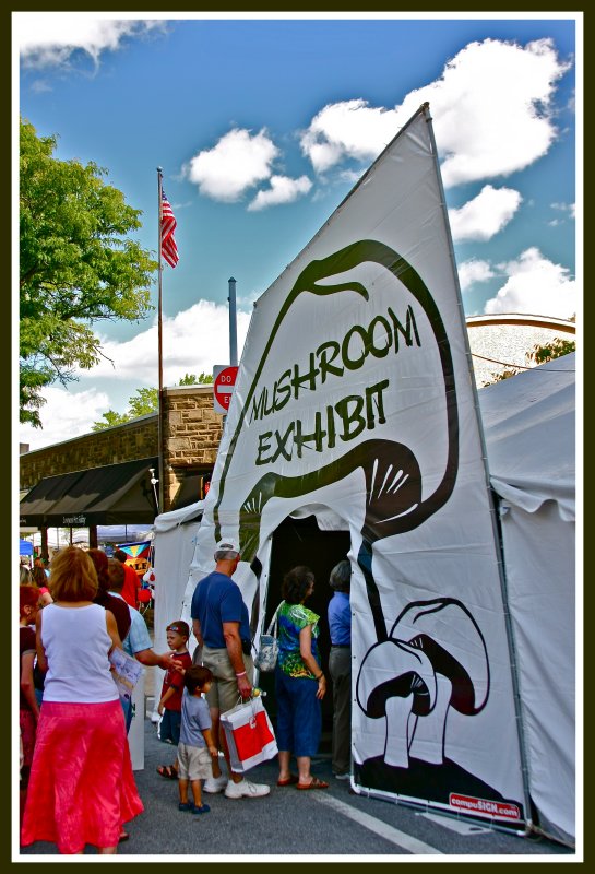 Entrance to mushroom exhibit