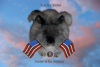 Victory Bunny