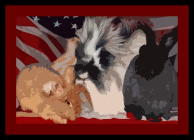 Our 3 girls