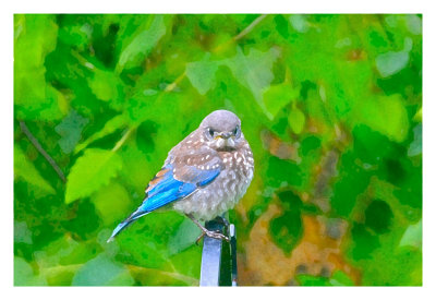 Are you lookin' at me?