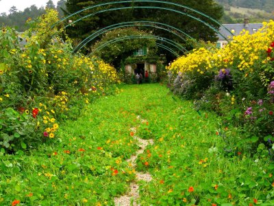 Monet's Garden