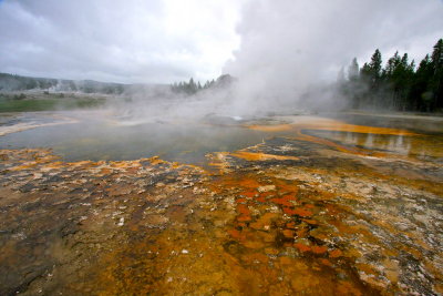 Tortoise Shell Spring - Upper Basin Area - Yellowstone