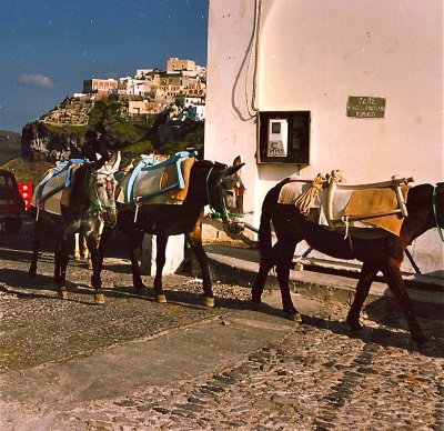 Trash collectors & tourist rides - Thira, Santorini