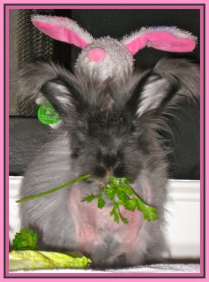 Violet loves homegrown parsley