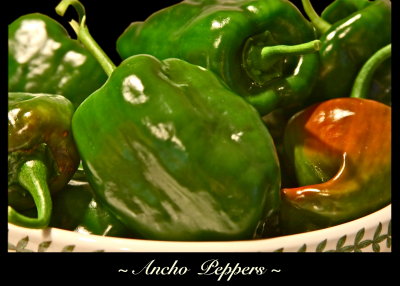 Homegrown Ancho Peppers