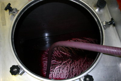 Time to make the wine - Domaine du Rin du Bois