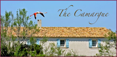 The Camargue