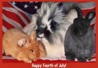 Happy Fourth of July USA!!!