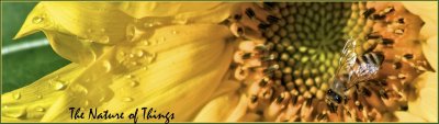 The Nature of Things