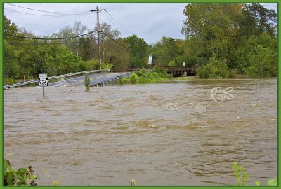 Overflowing its banks