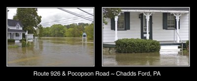 Honey ~ the house flooded again...