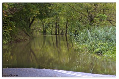 Creek Road (Rt. 100), Chadds Ford, PA