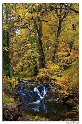 Waterfall at Sills Mill