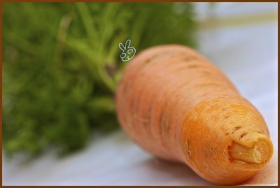 Homegrown carrot (5/5)