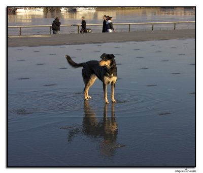 Cmon in ~ the waters great!