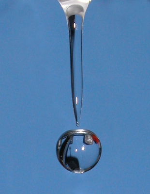 g1/06/1061206/3/146036445.3KxPmpu3.jpg