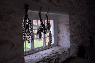 DS2_5618.jpg